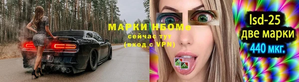 молекула духа Верхний Тагил